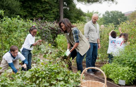 Melania Trump bo obdržala zelenjavni vrt, ki ga je v Beli hiši zasadila Michelle Obama