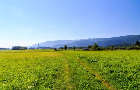 Židan: Slovenija bo zahtevala okrepitev položaja kmetov v EU