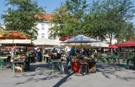 Dobro gospodarsko razpoloženje pri nas se nadaljuje