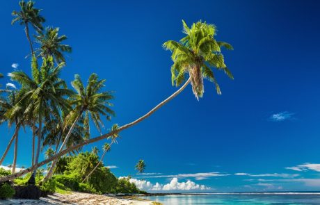 Epidemija ošpic na Samoi terjala visok krvni davek med otroci mlajšimi od štirih let