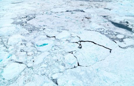 Vročinski val na Arktiki: “Če se bodo temperature še naprej višale, bo to hud stres za ekosistem”