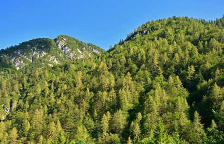 Slovenija in Črna gora na področju kmetijstva krepita sodelovanje