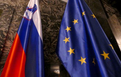 Protibegunskih referendumov v Sloveniji ne bo