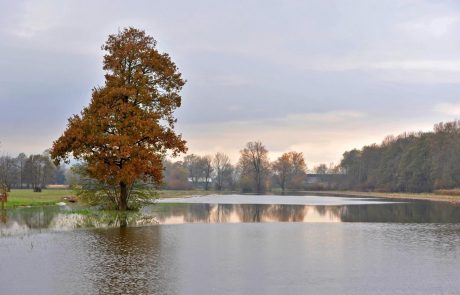 Poplavljata Krka in Ljubljanica, naraščanja rek še ni konec