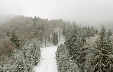 Vreme: Vračajo se oblaki