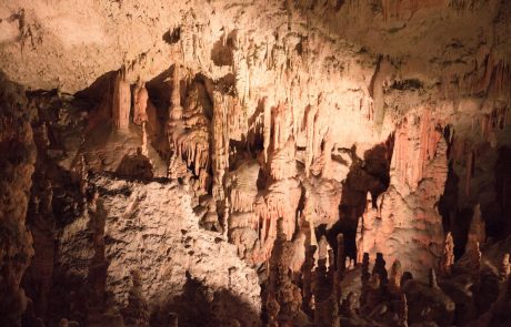 Postojnska jama letos zrasla za 220 metrov