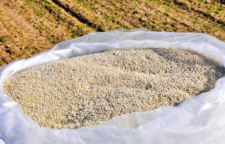 Slovenski kmetje lani porabili 129.000 ton mineralnih gnojil
