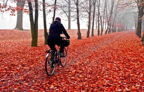 Romanin mesečni horoskop za november 2019