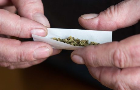 Vlada dovolila uporabo marihuane iz zdravstvenih razlogov
