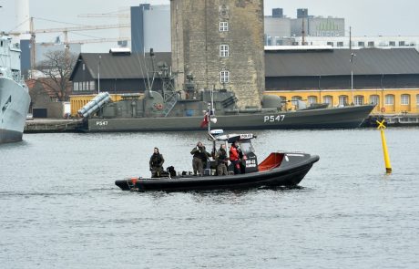 V morju našli ostanke pogrešane švedske novinarke