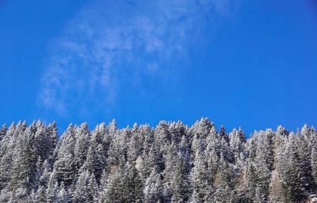 Vreme: Danes bo pretežno jasno, najvišje dnevne temperature bodo od -5 do -1