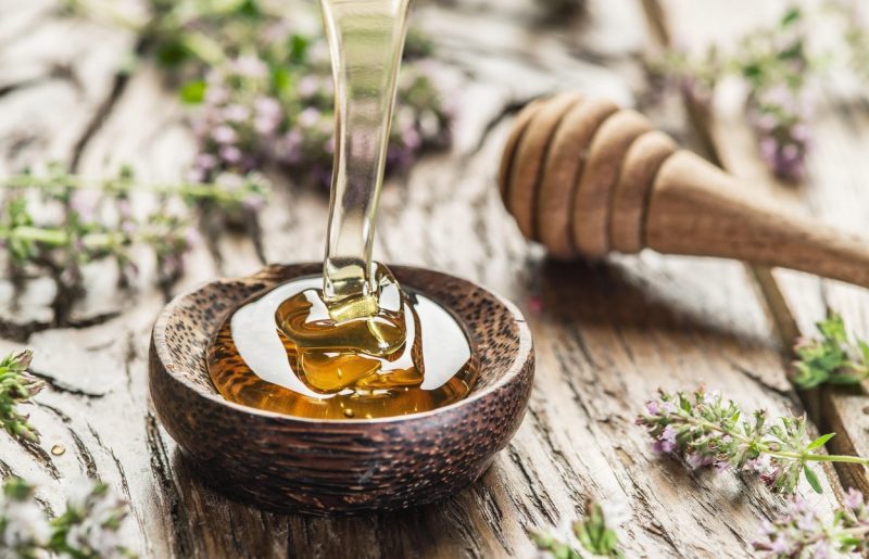 Hibernacijska dieta: Zakaj je pred spanjem dobro pojesti žlico medu?