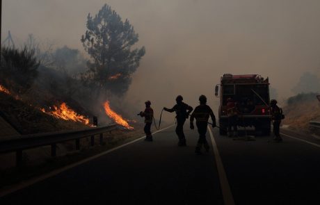 Severno Makedonijo zajeli obsežni gozdni požari