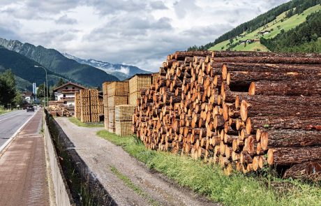Slovenskim žagarjem primanjkuje lesa, ker hlodovino prodajamo v tujino