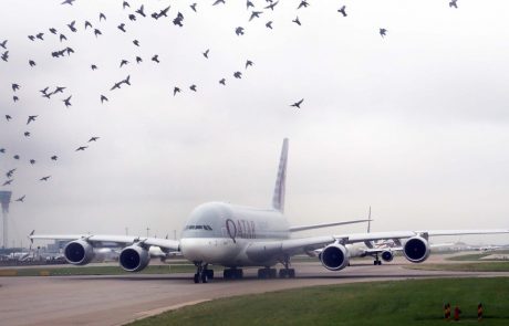 Heathrow lani z najmanj potniki v skoraj 50 letih