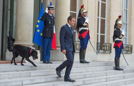 Emmanuel in Brigitte Macron sta posvojila psa