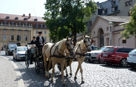 Najmanj 20 poškodovanih v trčenju kočij s konjsko opremo na jugu Nemčije