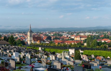 V Avstriji bodo ljudi cepili tudi na pokopališčih ter v muzejih, kjer bodo cepljeni dobili brezplačno vstopnico