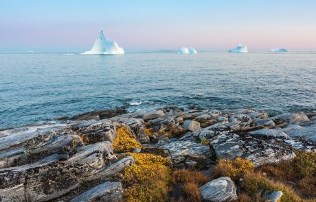 Študija: Izgube ledu na Grenlandiji ni več mogoče nadoknaditi