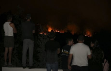 V gozdnem požaru na jugu Portugalske najmanj 24 poškodovanih, evakuirali več krajev