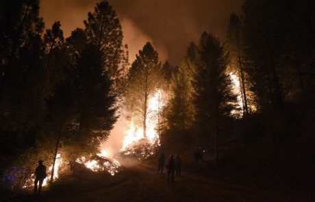 Sever Kalifornije uničuje nov velik požar v naravi