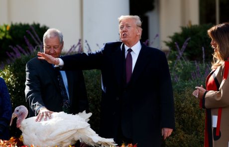 Trump pred zahvalnim dnem pomilostil purana po imenu Grahek in Korenček