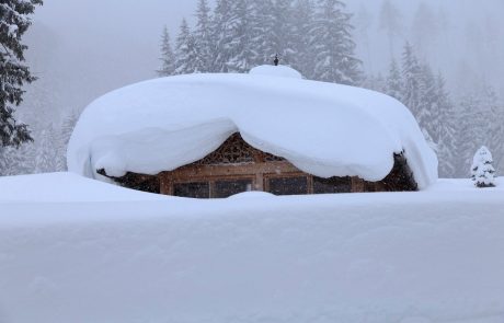Na avstrijskem Koroškem je novozapadli sneg povzročil številne težave