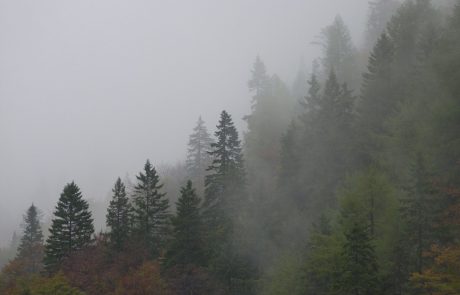 Danes bo marsikje oblačno, občasno tudi megleno, ponekod bo rosilo