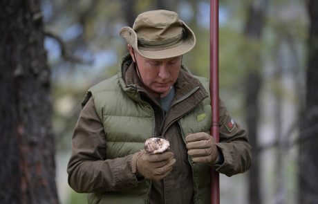 Putin svoj 67. rojstni dan preživlja v Sibiriji, kjer nabira gobe (foto + video)