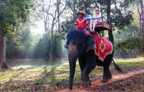 Kambodža bo prepovedala jahanje slonov na območju slavnih templjev Angkor