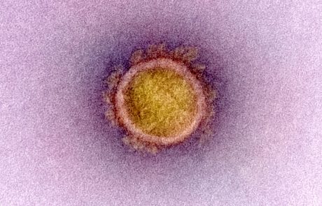 Cepivo učinkovito tudi proti mutiranemu virusu covida-19