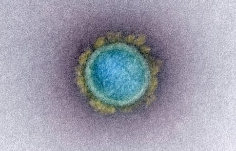 Raziskava odkrila pogoje, v katerih koronavirus najbolje uspeva