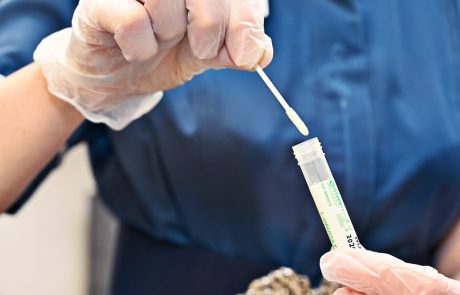Dunajčani se lahko kar doma, brezplačno, s testi PCR z grgranjem sami testirajo na novi koronavirus