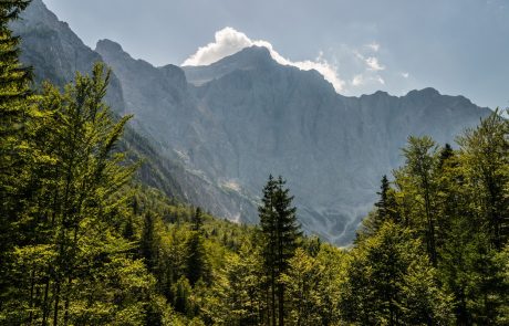 Slovenija deležna pohval zaradi svojih prizadevanj za ohranjanje narave: ”Ta država je park Evrope!”
