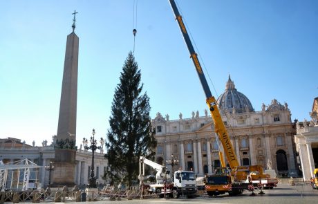 V Vatikanu so dopoldne postavili slovensko smreko, ki bo med letošnjimi božičnimi prazniki krasila Trg sv. Petra