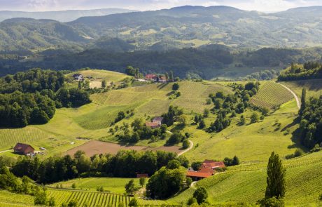 Bomo v Sloveniji naposled vendarle dobili pokrajine?
