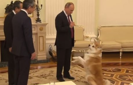 Putinova psička ni upoštevala protokola: Poglejte, kako jo je umiril