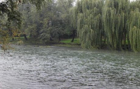 V BiH našli truplo 48-letne ženske iz Maribora