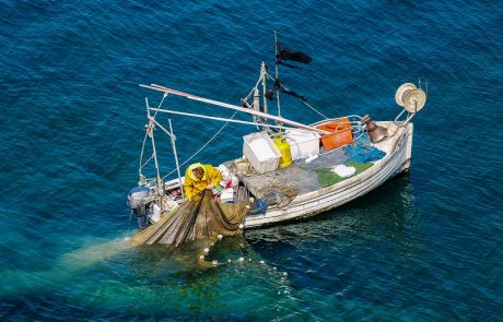 Slovenija bo tožila Hrvaško zaradi kršitve pravic do ribolova