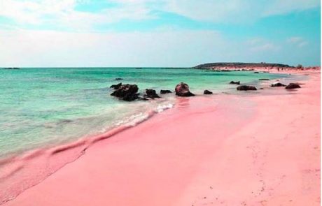 Roza plaža na Bahamih je nekaj najlepšega, kar smo kdaj videli!
