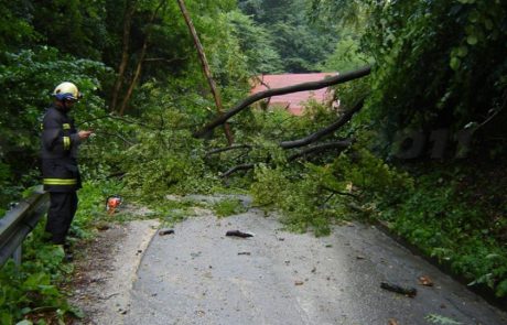 Veter ponekod podiral drevesa, počasi bo slabel