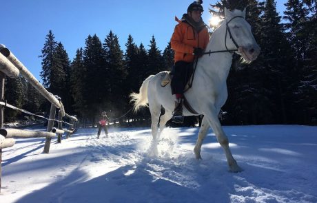 VIDEO: skijoring osvaja srca mladih smučarjev