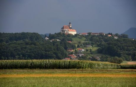 Slovenski škofje: Marijino vnebovzetje je za verne praznik upanja