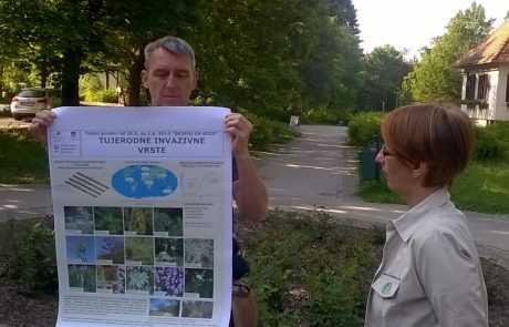 FOTO: Tako so odstranjevali invazivne tujerodne vrste v Mestnem parku