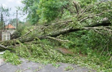 Požari zaradi strele, odkrite strehe in podrta drevesa