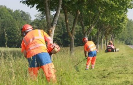 V Trbovljah med košnjo trave Komunala zaščiti avte