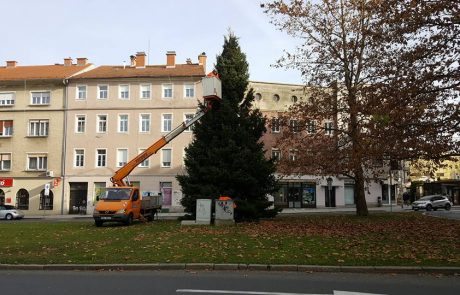 FOTO: Prazniki so blizu, smreka in praznična razsvetljava v Mariboru že pripravljena