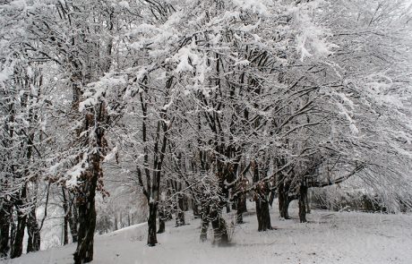 Zelo verjetno pred nami najhladnejše obdobje v tej zimi