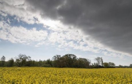 Najlepši del vikenda bo v soboto popoldne in nedeljo dopoldne