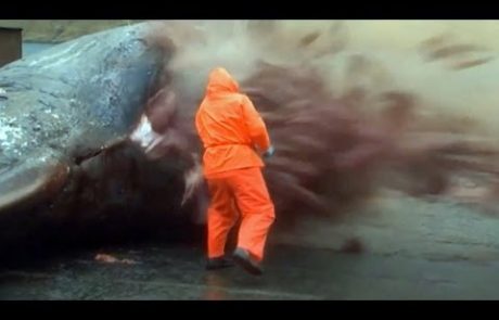 VIDEO: Grozljiva eksplozija poginulega kita